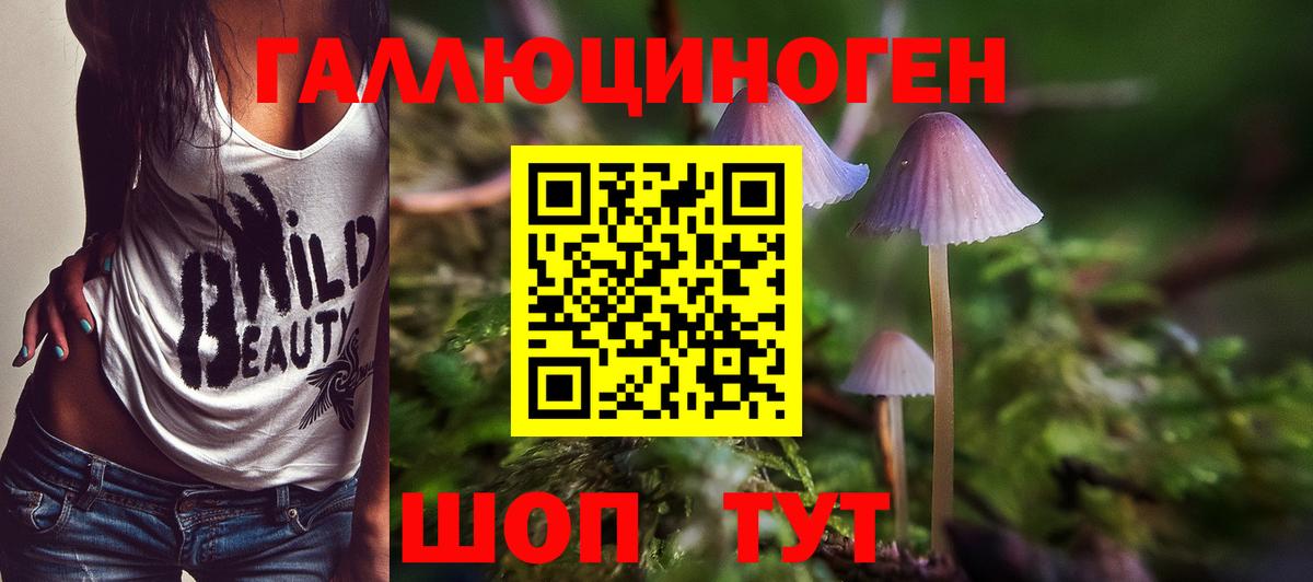 наркота  Галлюциногенные грибы прущие грибы  Вход с VPN  Псилоцибиновые грибы Magic Shrooms  Лобня 